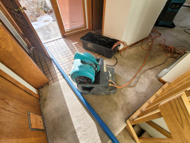 Best 24-hour water damage restoration  in Pike Creek Valley, DE