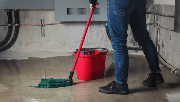 Best Mold removal after water damage  in Pike Creek Valley, DE