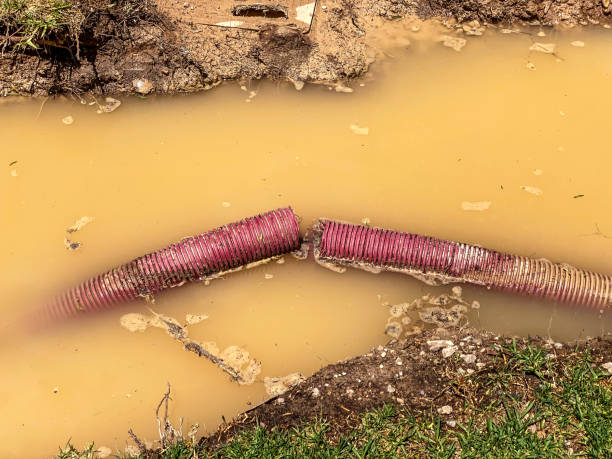 Best Residential water damage restoration  in Pike Creek Valley, DE